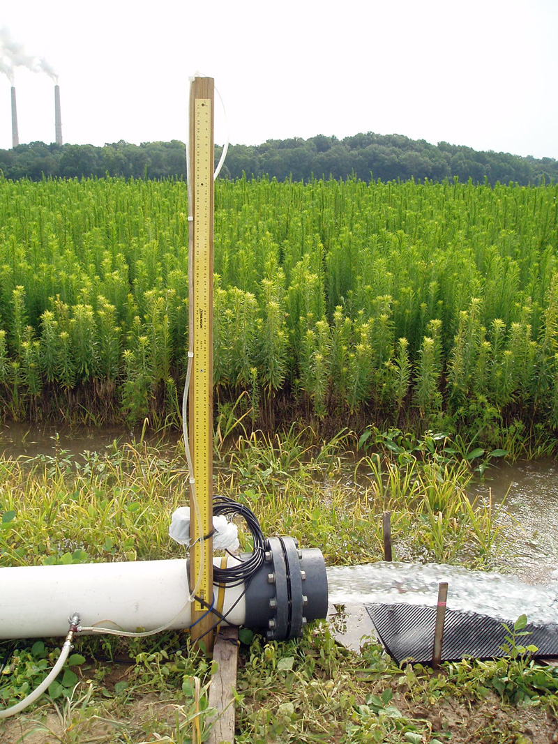 Equipment for Step Test